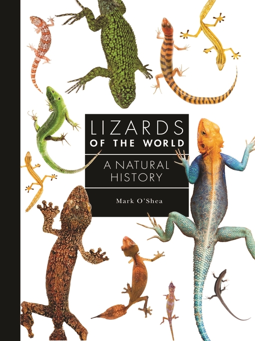 Title details for Lizards of the World by Mark O'Shea - Available